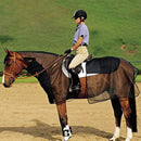 Cashel Cashel Quiet Ride Bug Armor