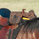 Cashel Cashel Small Leather Horn Bag