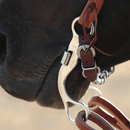 Classic Equine Classic Equine 6" Cheek Snaffle Bit