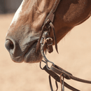 Classic Equine Classic Equine 7 1/2" Cheek Dogbone Bit
