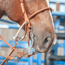 Classic Equine Classic Equine 7 1/2" Cheek Ported Chain Bit