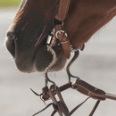 Classic Equine Classic Equine 8" Cavalry Cheek Ported Twisted Wire Bit