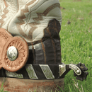 Classic Equine Classic Equine Cowboy Series 1" Band Spur