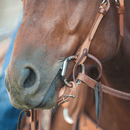 Classic Equine Classic Equine D Ring Smooth Snaffle Bit