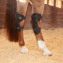 Classic Equine Classic Equine MagNTX Hock Wrap
