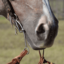 Classic Equine Classic Equine Turbo Collection Ported Bit