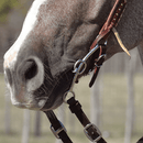 Classic Equine Goostree Double Gag Dr Bristol Short Shank Bit