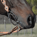 Classic Equine Goostree Quick Draw Bit