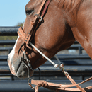Classic Equine Joe Beaver High Port Bit