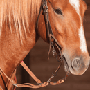 Classic Equine Sherry Cervi Diamond 3 pc Long Shank II Bit