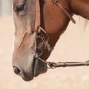 Classic Equine Sherry Cervi Diamond Chain Long Shank Bit