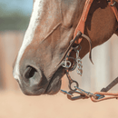 Classic Equine Sherry Cervi Diamond Small Twisted 3 pc Short Shank II Bit