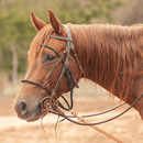 Martin Saddlery Martin Saddlery Bonnet