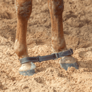 Martin Saddlery Martin Saddlery Latigo Leather Hobble