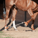 Martin Saddlery Martin Saddlery Sideline Hobble