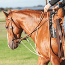 Martin Saddlery Martin Saddlery String Martingale