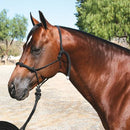 Professional's Choice Professional's Choice Clinician Halter