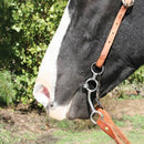Professional's Choice Professional's Choice Equisential Performance Long Shank Bit - Twisted Wire Snaffle