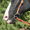 Professional's Choice Professional's Choice Equisential Route 66 Bit - Chain