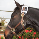 Professional's Choice Professional's Choice Magnetic Poll Piece