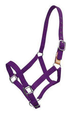 Showman Showman 3 Ply Nylon Breakaway Halter