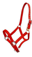 Showman Showman 3 Ply Nylon Breakaway Halter
