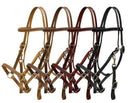 Showman Showman Leather Halter Bridle Combo