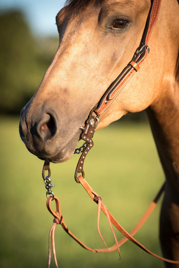 Cowboy Tack Cowboy Tack Lucky 7 Correctional Bit