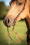 Cowboy Tack Cowboy Tack Lucky 7 Correctional Bit