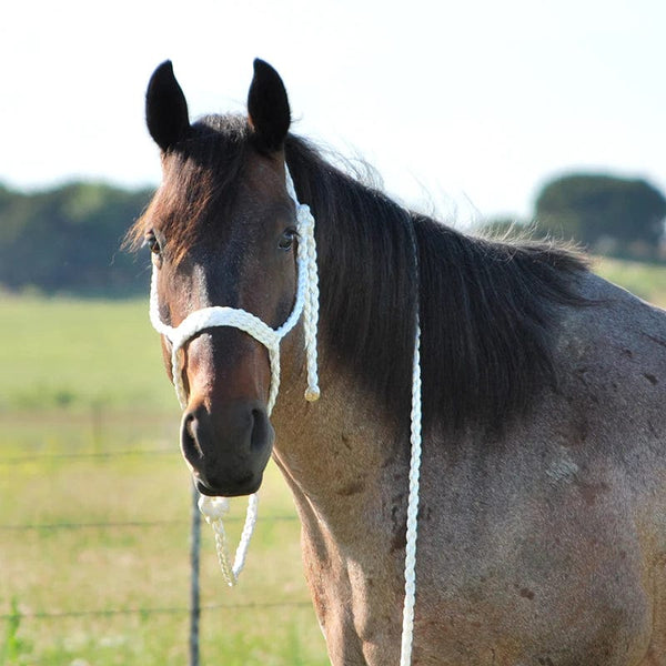 Fast Back Fast Back Mule Tape Halter