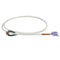 Rattler Rattler Racer Steer Piggin String/Green Eye