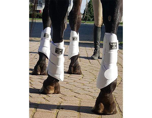 Back On Track Back On Track Splint Boots (Brush Boots)