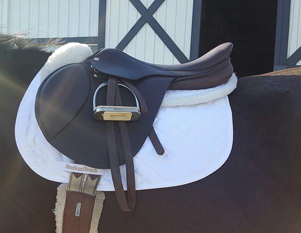 Back On Track Back On Track Therapeutic Baby Saddle Pad