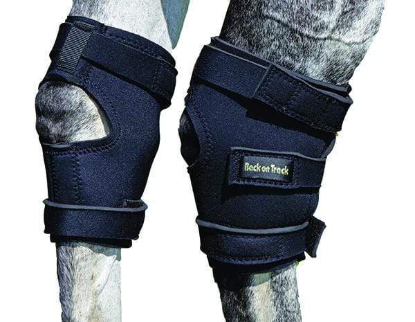 Back On Track Back On Track Therapeutic Hock Boots