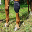 Back On Track Back On Track Therapeutic Horse Knee Boots