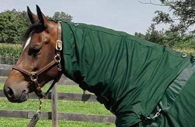 Back On Track Back On Track Therapeutic Horse Neck Cover