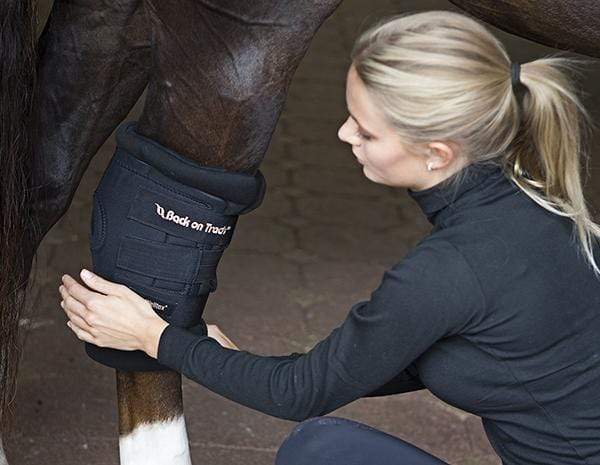 Back On Track Back On Track Therapeutic Padded Royal Hock Boots with Holes