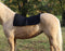 Back On Track Back On Track Therapeutic Western Saddle Liner