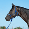 Cashel Cashel Braided Rope Nose Halter