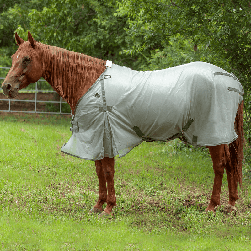 Cashel Cashel Econo Fly Sheet