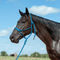 Cashel Cashel Flat Braid (Mule Tape) Halter