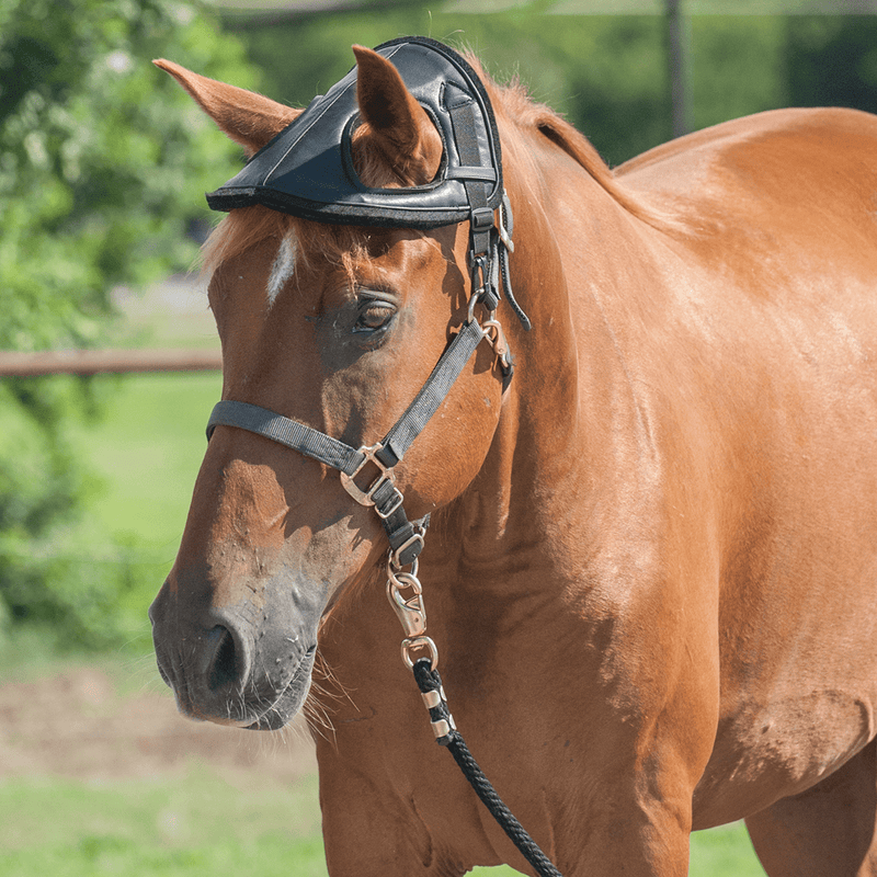Cashel Cashel Horse Helmet