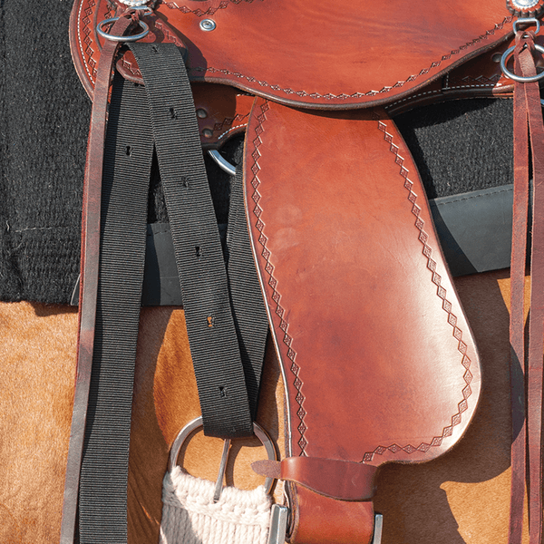 Cashel Cashel Nylon Latigo