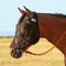 Cashel Cashel Quiet Ride Fly Mask