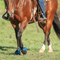 Cashel Cashel Rubber Bell Boots