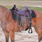 Cashel Cashel Step Up Stirrup