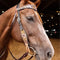 Circle Y Saddles Circle Y Dogwood Flower Browband Headstall