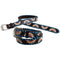 Circle Y Saddles Circle Y Sunflower Painted Belt