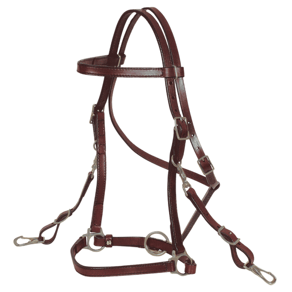 Circle Y Saddles Circle Y Trail Halter Bridle