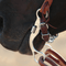 Classic Equine Classic Equine 6" Cheek Snaffle Bit